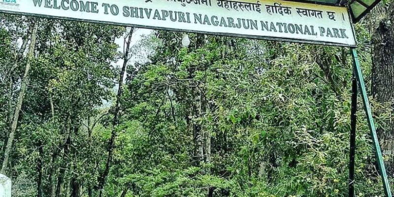 Kathmandu: Shivapuri National park Day Hiking - FAQ