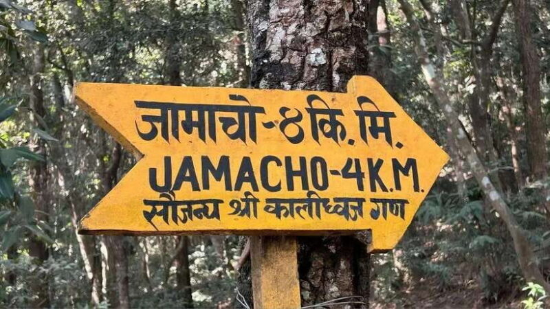 Kathmandu: Short Nagarjun Jamacho Hiking 2130m - The Experience: What and How
