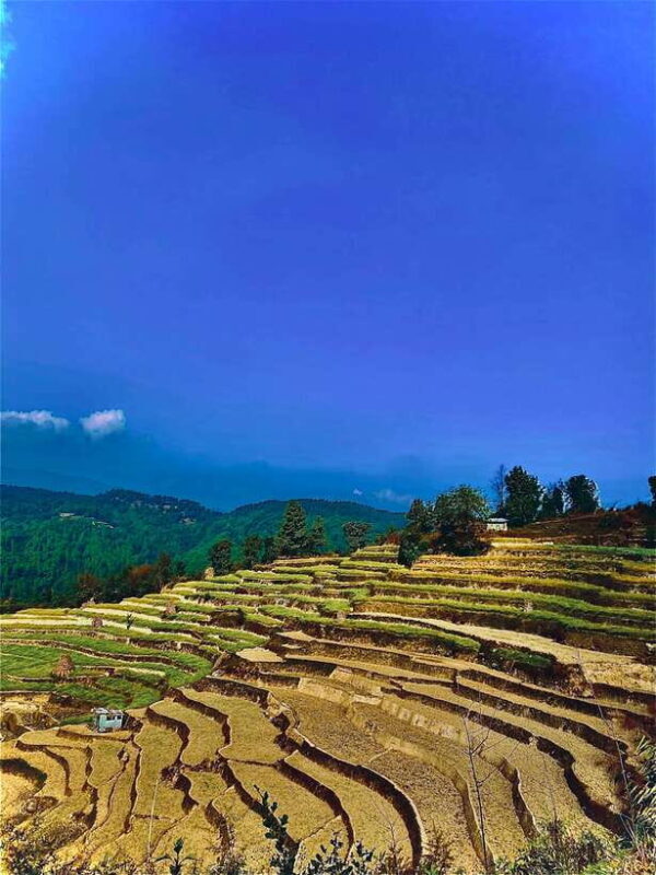 Kathmandu to Nagarkot Hike: Village Trails & Himalayan Views - Who Should Consider This Tour?