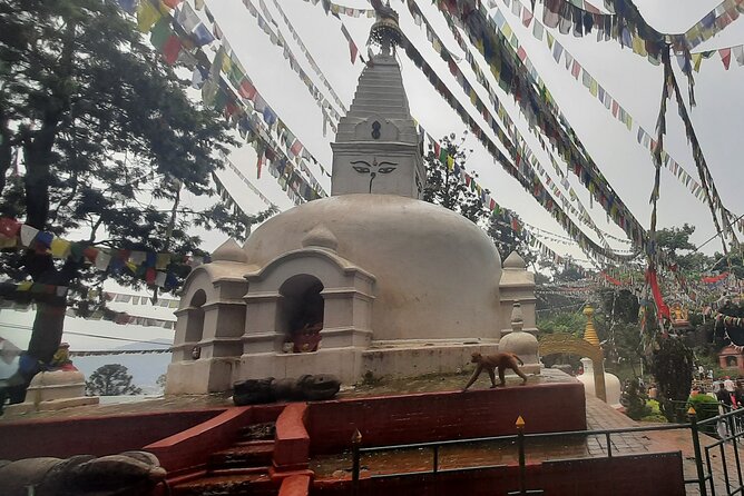 Kathmandu Valley Top UNESCO World Heritage Sites - Day Tour - Swayambhunath Stupa