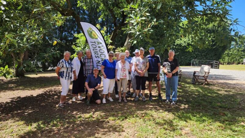 Katikati: Guided Avocado Adventures with Tasty Treats - Exploring the Orchard: What to Expect