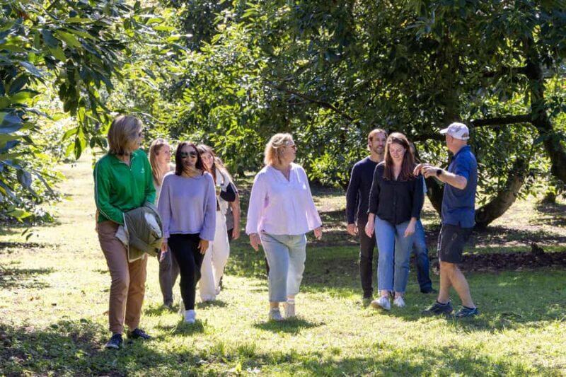 Katikati: Guided Avocado Adventures with Tasty Treats - The Value of This Experience