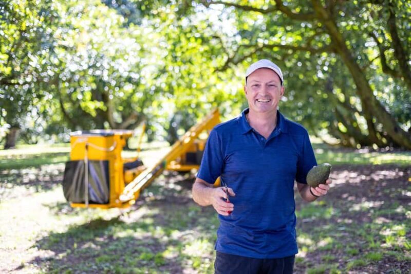 Katikati: Guided Gourmet Avocado Tour - Who Is This Tour Best For?