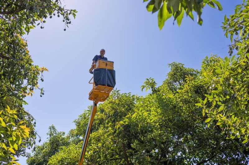 Katikati: Guided Gourmet Avocado Tour - FAQ