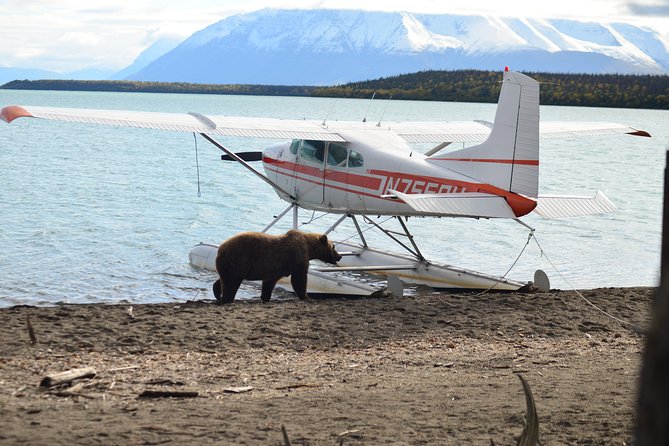 Katmai Brooks Falls Bear Experience - Whats Included in the Tour