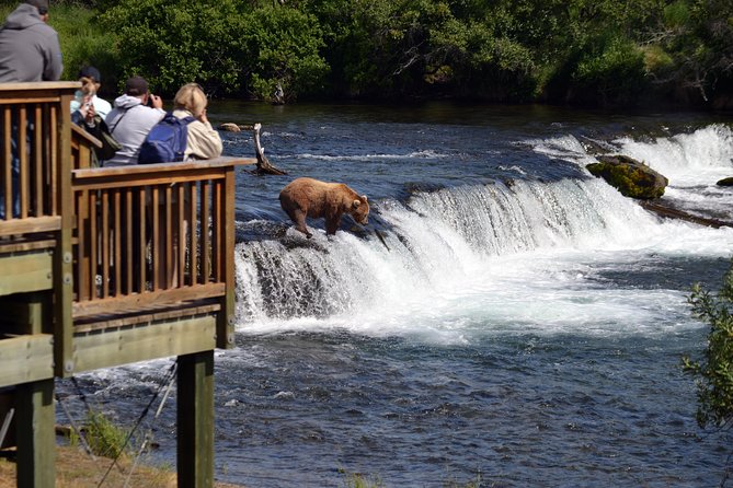 Katmai Brooks Falls Bear Experience - Important Safety Information