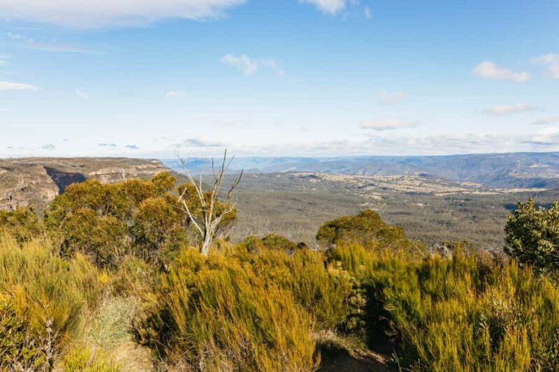 Katoomba: Lyrebird Hop-On Hop-Off and Scenic World Pass - An All-in-One Day in the Blue Mountains