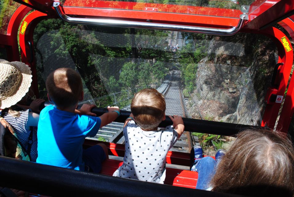 Katoomba: Lyrebird Hop-On Hop-Off and Scenic World Pass - Inclusions