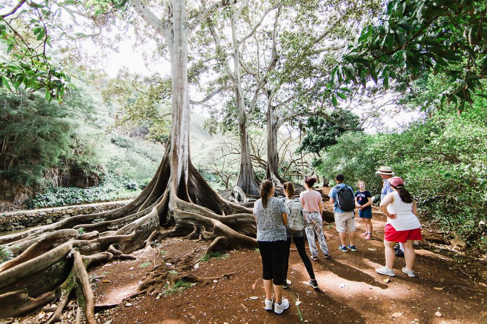 Kauai: Allerton Garden and Estate Tour With Sunset Dinner - Booking and Cancelation