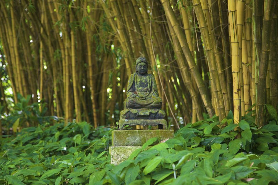 Kauai: Allerton Garden and Estate Tour With Sunset Dinner - Sunset Dinner Experience