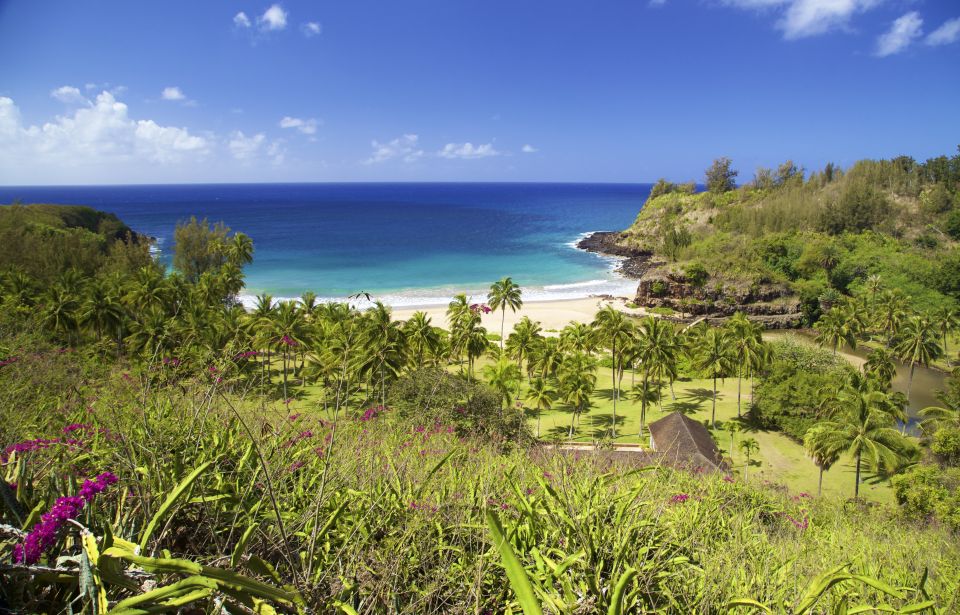 Kauai: Allerton Garden Guided Group Walking Tour - Highlights of the Tour