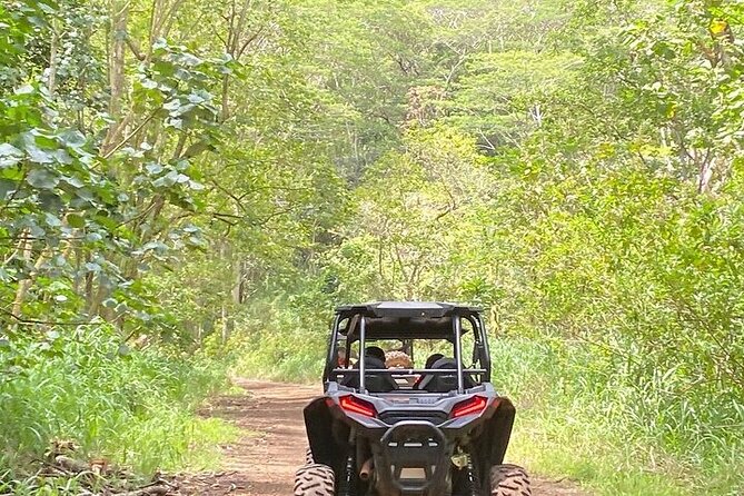 Kauai ATV Backroads Adventure Tour - Tour Reviews