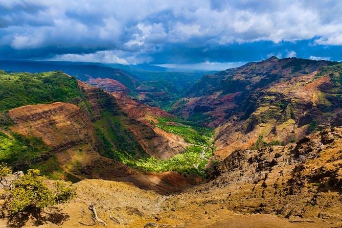 Kauai Cruise Ship Shore Excursion Journey to Waimea Canyon - Highlights of the Tours Itinerary
