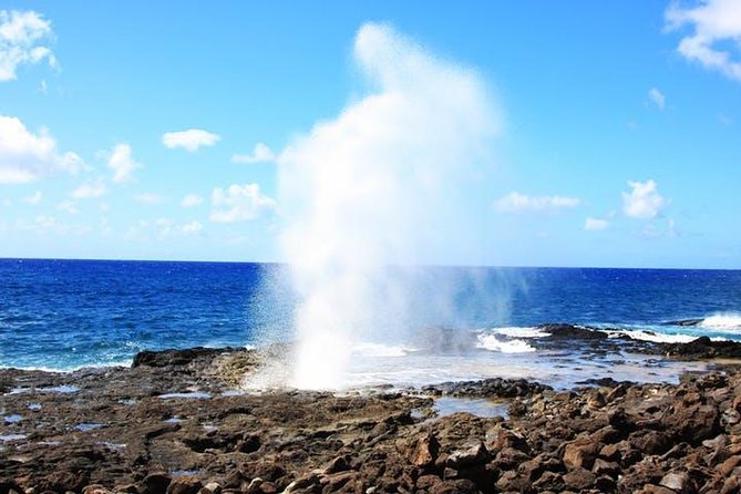 Kauai Cruise Ship Shore Excursion Journey to Waimea Canyon - Booking and Confirmation Information