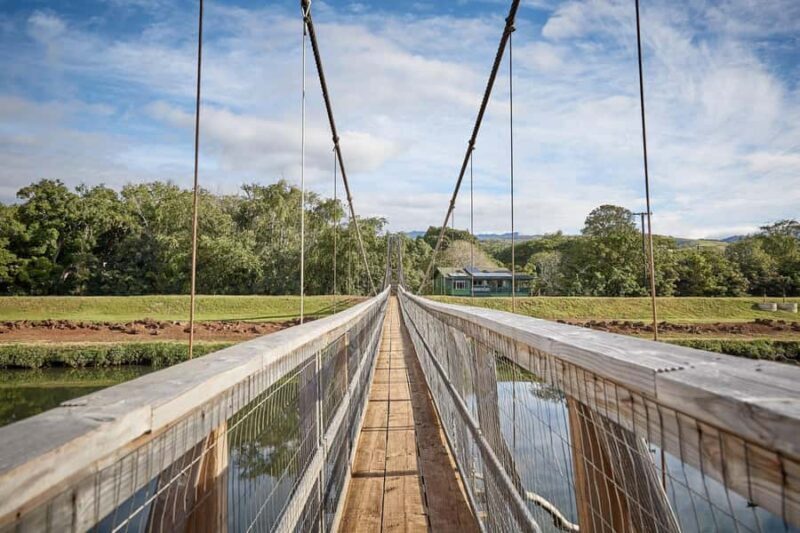 Kauai Day-Tour: Kalalau, Waimea, Poipu, Cruise or Airport PU - Key Points