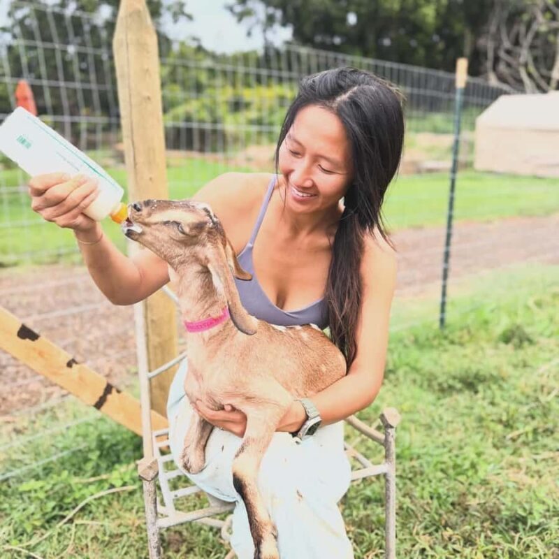 Kauai Farm: Play & Bottle Feed Baby Mini Nubian Goats! - An In-Depth Look at the Kauai Farm Experience