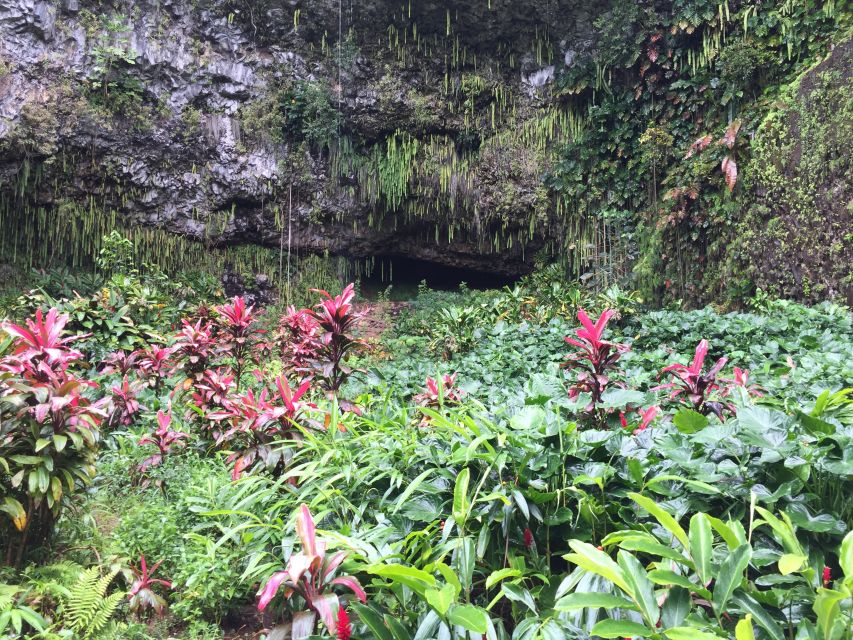 Kauai: Full-Day Tour With Fern Grotto River Cruise - Frequently Asked Questions