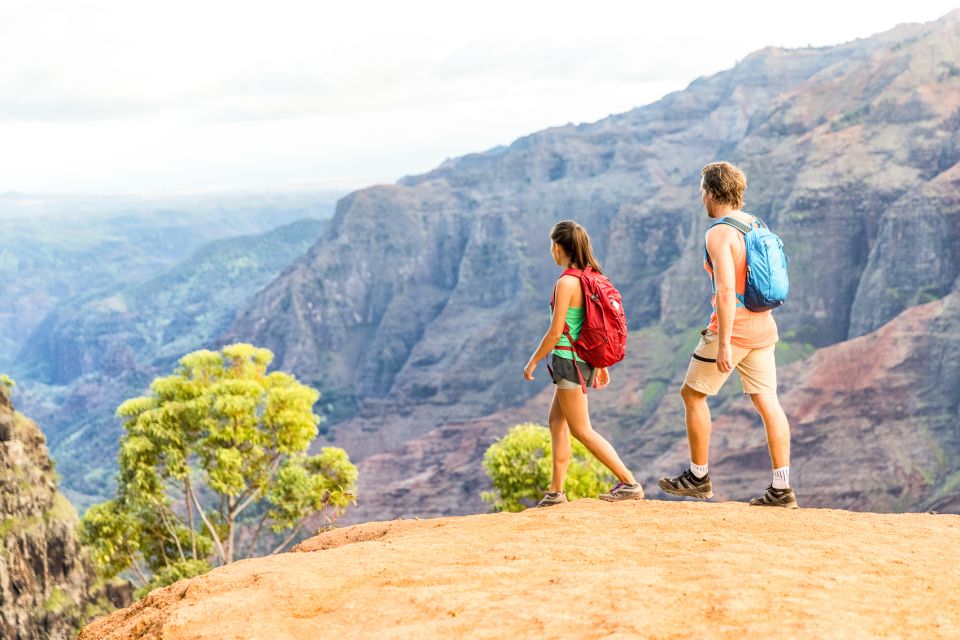 Kauai: Full-Day Waimea Canyon & Wailua River Tour - Waimea Canyon Exploration