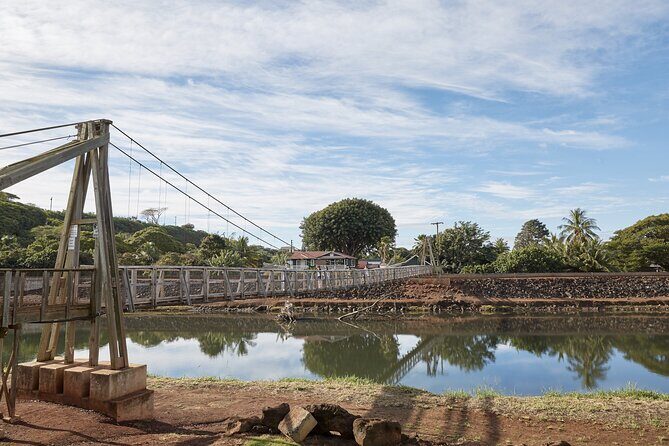 Kauai Highlights Full Day Tour from Oahu with Waikiki Pickup - Who Should Book This Tour?