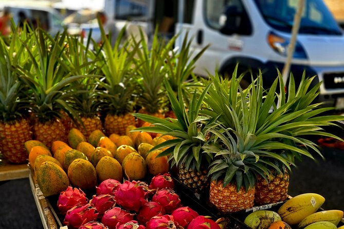 Kauai Hop On Hop Off Tour - Traveler Reviews and Experiences