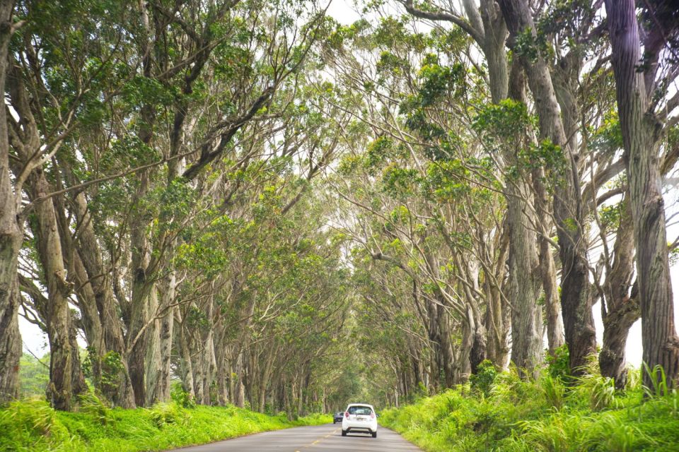 Kauai: Island Highlights Self-Guided Audio Driving Tour - Tour Access and Duration