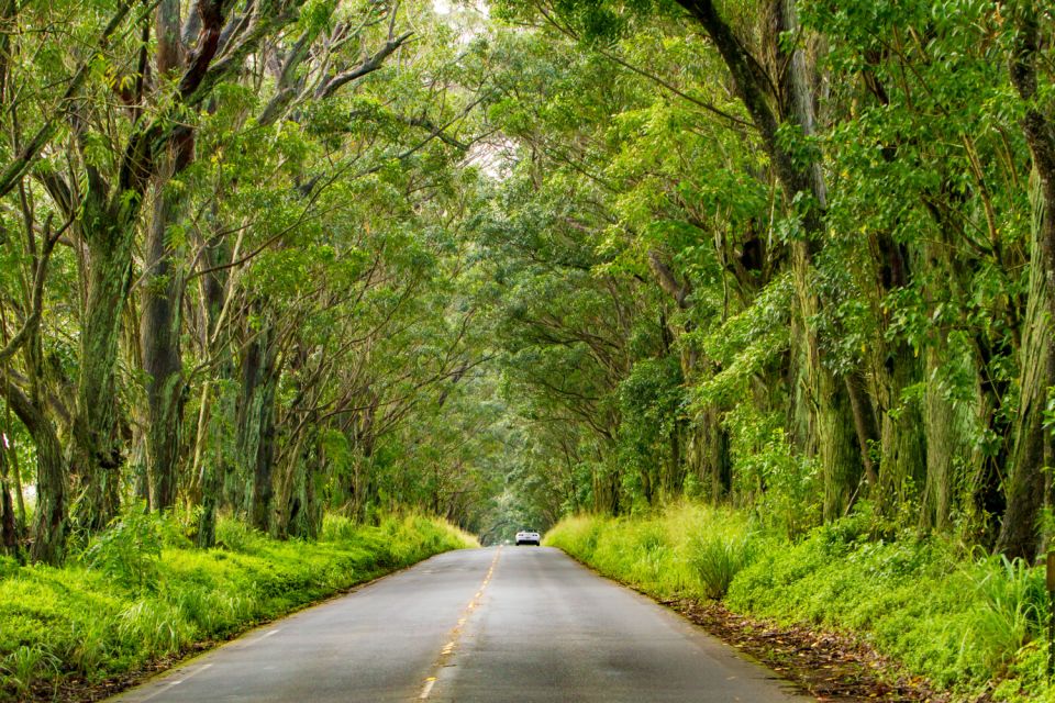 Kauai: Island Highlights Self-Guided Audio Driving Tour - Frequently Asked Questions