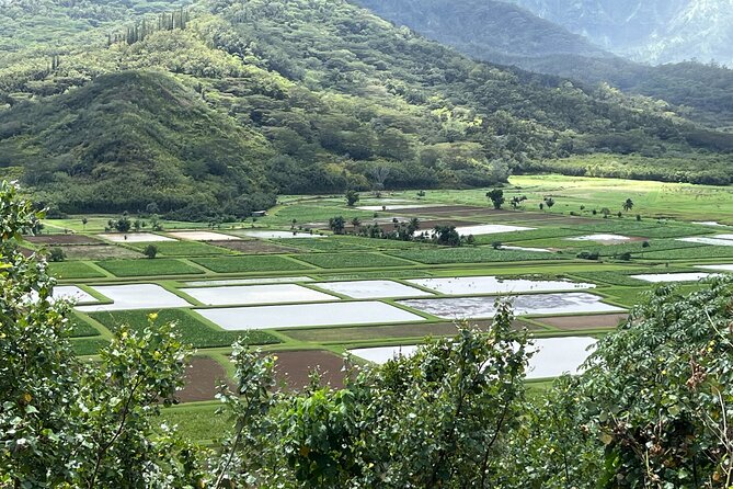 Kauai Island Private Guided Movie Tour From Lihue - Uncovering the Secrets of Raiders of the Lost Ark