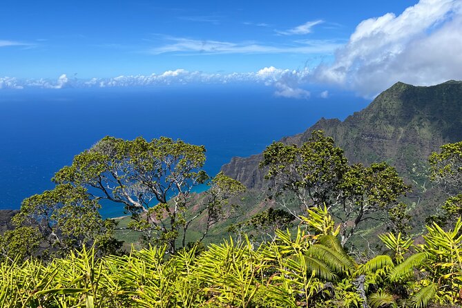 Kauai Island Private Guided Tour-Waimea Canyon From Poipu/Koloa - Accessibility and Participation