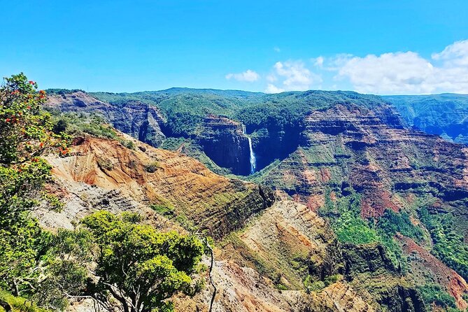 Kauai Island Private Guided Tour-Waimea Canyon From Poipu/Koloa - Booking Information