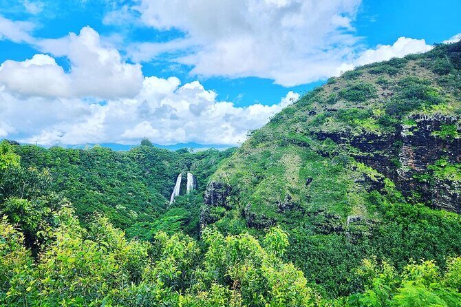 Kauai Island Private Guided Tour-Waimea Canyon from Princeville - Who Is This Tour Best For?