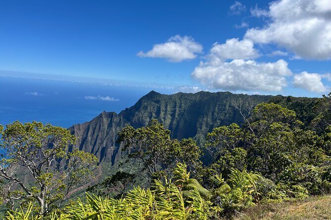 Kauai Island Private Guided Tour-Waimea Canyon from Princeville - FAQ