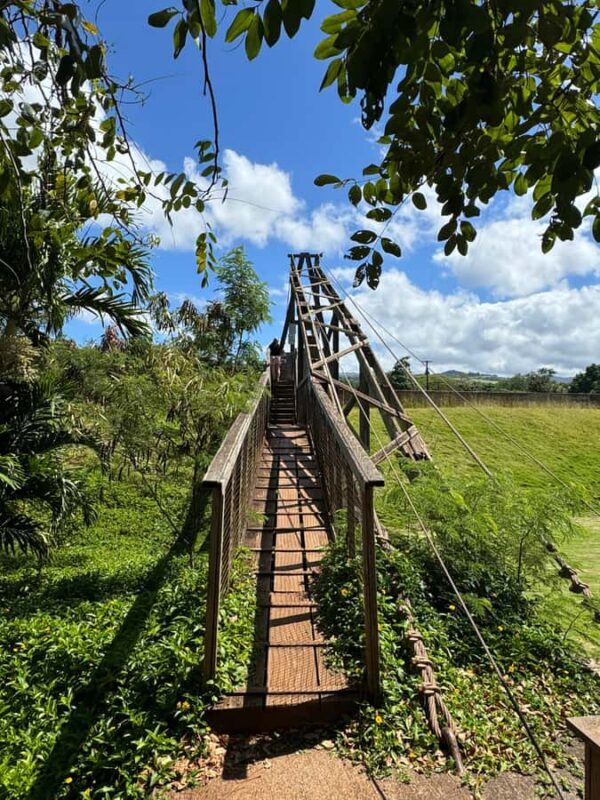 Kauai - Journey to Waimea Canyon, Spouting Horn & More - Exploring the Kauai - Journey to Waimea Canyon, Spouting Horn & More