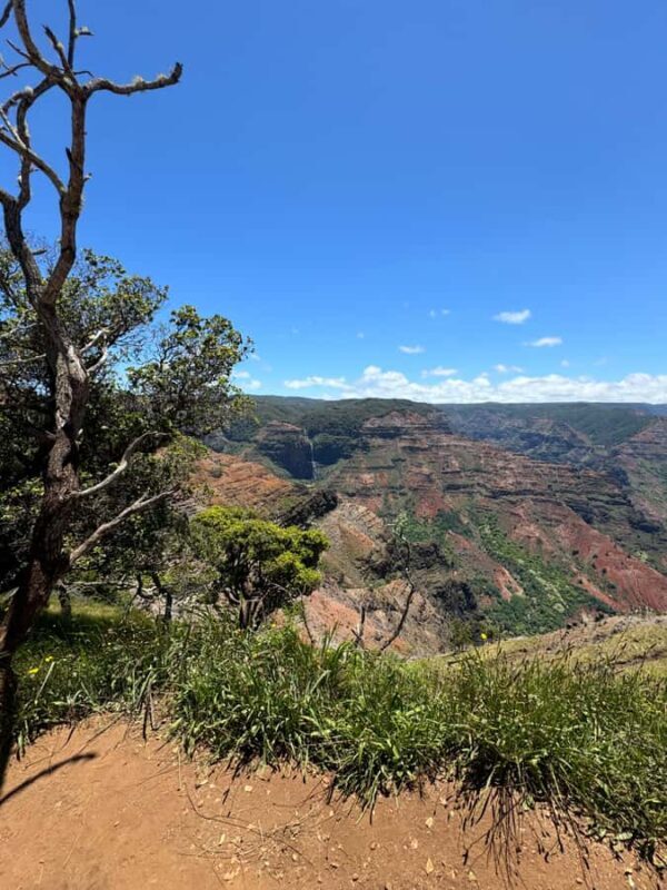 Kauai - Journey to Waimea Canyon, Spouting Horn & More - Frequently Asked Questions (FAQs)