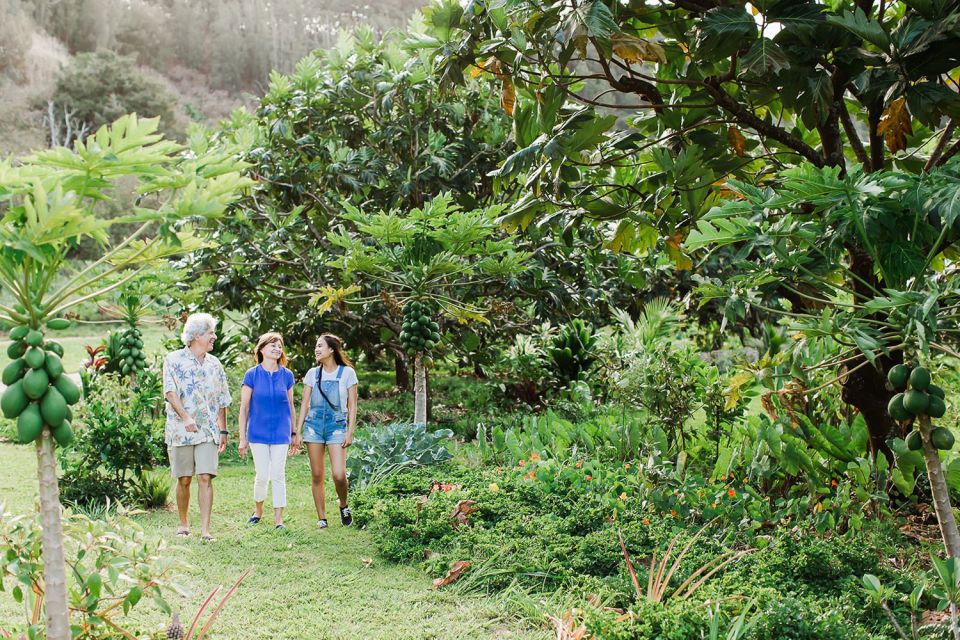 Kauai: McBryde Garden Self Guided Visit - Highlights of the Garden