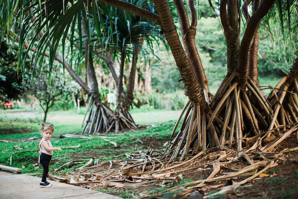 Kauai: McBryde Garden Self Guided Visit - Accessibility and Recommendations
