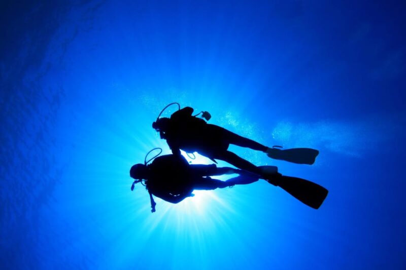 Kauai: Morning 2 Tank Boat Dive for Experienced Divers - Recommended Experience Level
