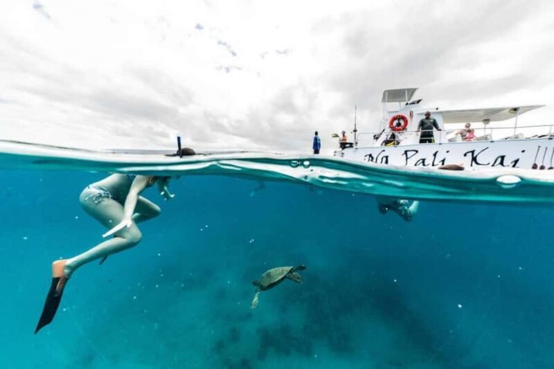 Kauai: Na Pali Coast Boat Tour with Cultural Captain & Crew - Who Will Love This Tour?