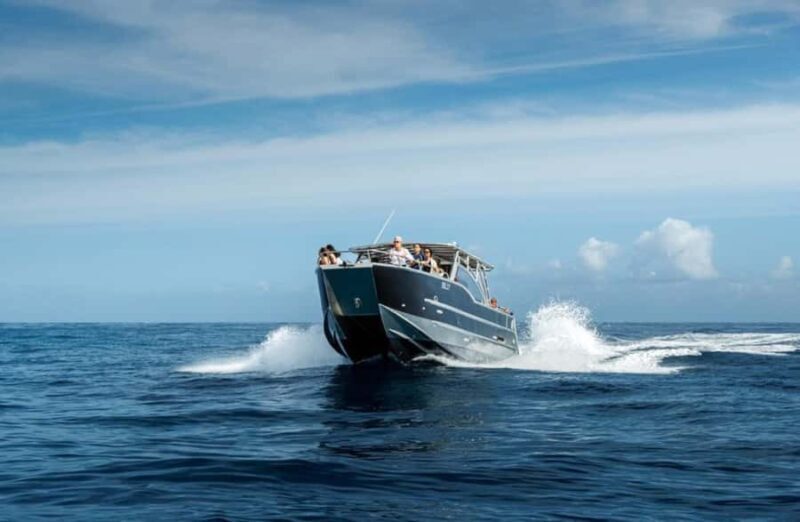 Kauai: Na Pali Coast Boat Tour with Cultural Captain & Crew - Final Thoughts