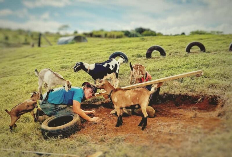 Kauai: Play with Baby Farm Animals & MicroDairy Immersion - Key Points