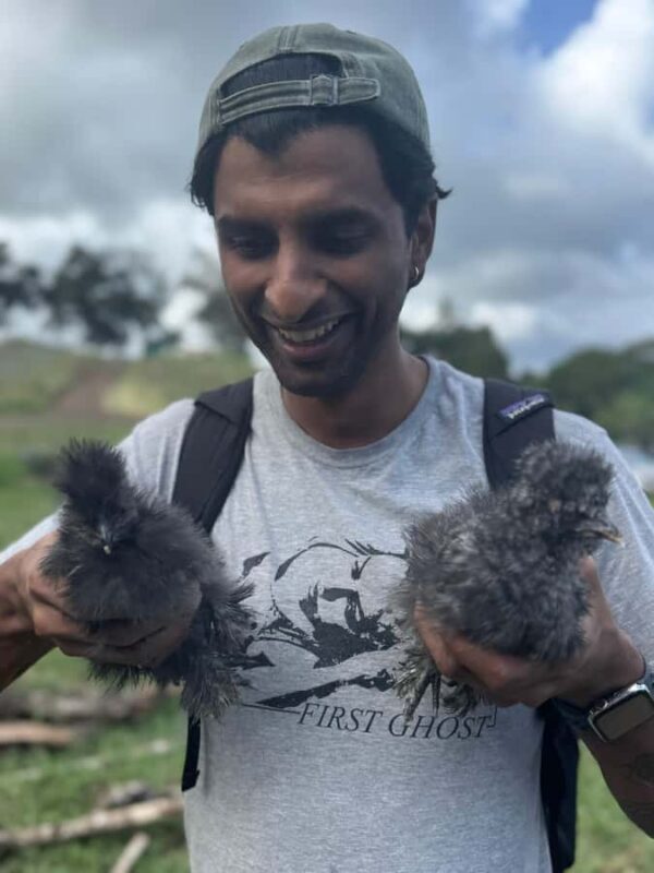 Kauai: Play with Baby Farm Animals & MicroDairy Immersion - Who Will Love This Tour?