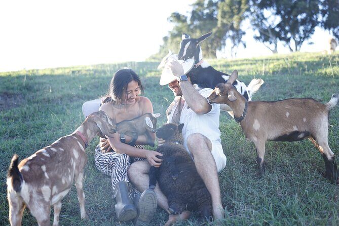 Kauai Private Baby Farm Animal Experience & Micro Dairy Immersion - FAQs
