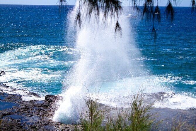 Kauai Private Shuttles - The Experience in Depth