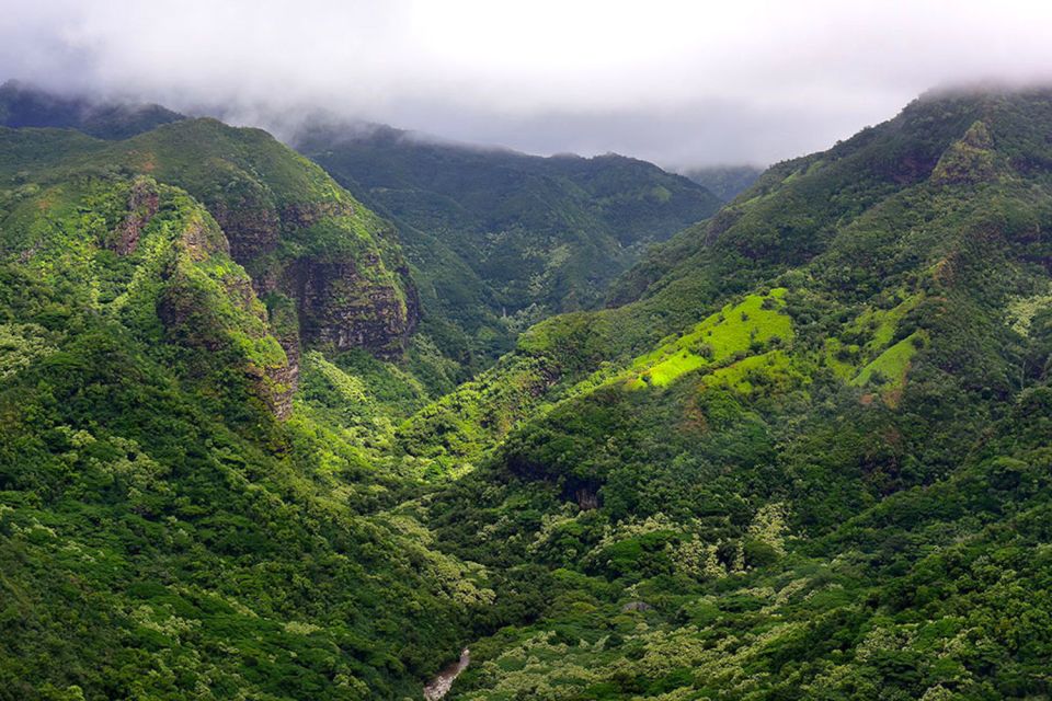 Kauai: Scenic Movie Locations Bus Tour - Key Points
