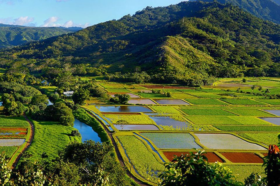 Kauai: Scenic Movie Locations Bus Tour - Tour Inclusions