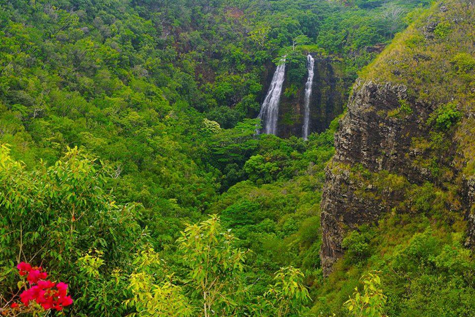 Kauai: Scenic Movie Locations Bus Tour - Explore Movie Locations