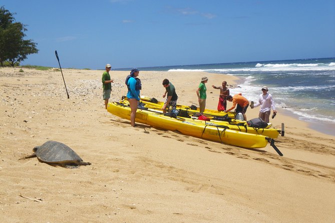 Kauai Sea Kayaking 10 Mile Tour - Na Pali Iki (Polihale to Milolii) - Inclusions and Amenities