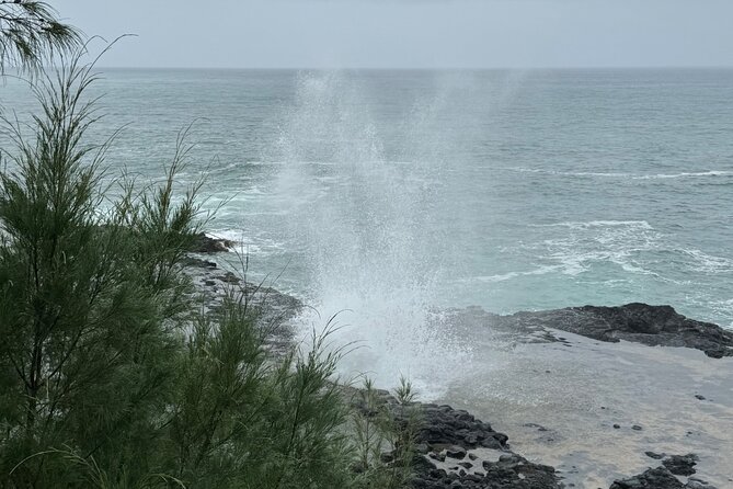 Kauai Shore Excursion - Waimea Canyon Adventure Tour - Nawiliwili - Dining and Refreshment Options
