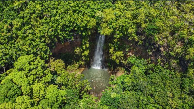 Kauai: Wailua River Kayak and Secret Falls Hike Tour - An In-Depth Look at the Wailua River Kayak and Secret Falls Tour