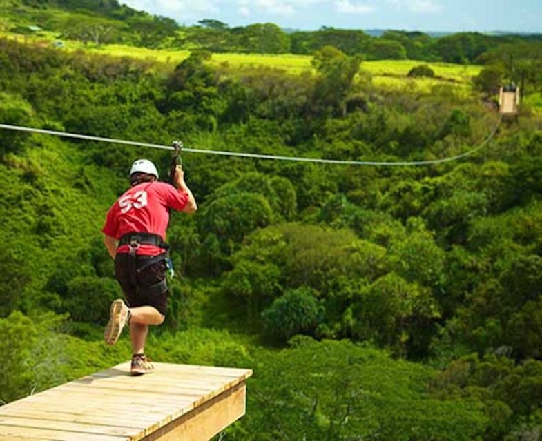 Kauai: Zipline Adventure - An Adventurous Introduction to Kauai’s Natural Beauty