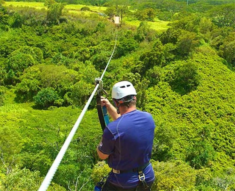 Kauai: Zipline Adventure - What Travelers Say
